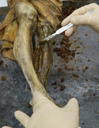 Odstranjevanje neustrezne oljne barve