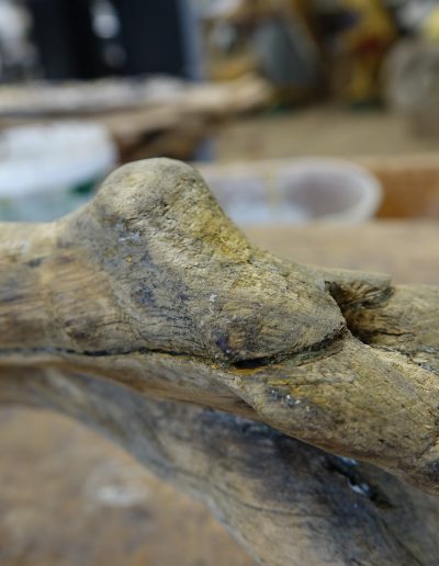 Vidne pretekle poškodbe lesenega nosilca